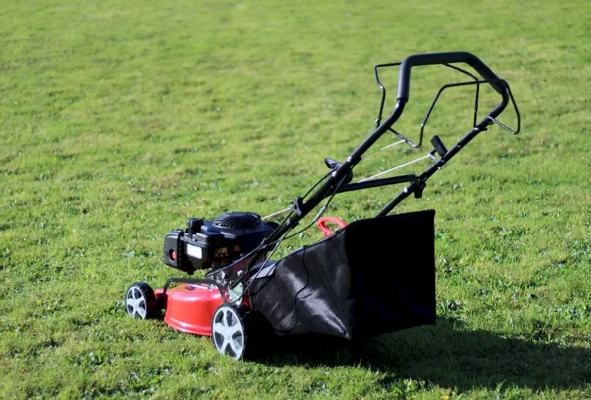 Piranha P18BS 18" Self Drive mower (B&S Engine) - Image 4