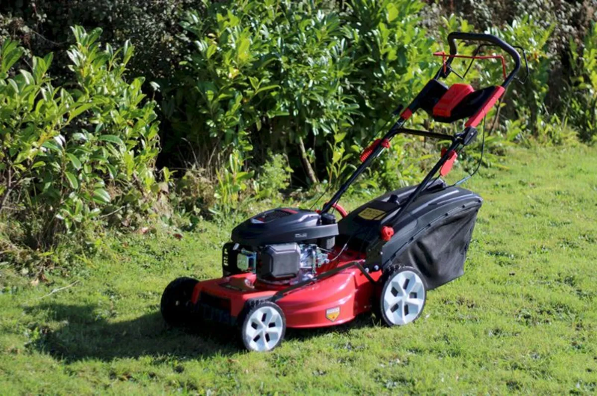 Piranha P21LS 21" Self drive Mower (Loncin Engine) - Image 2