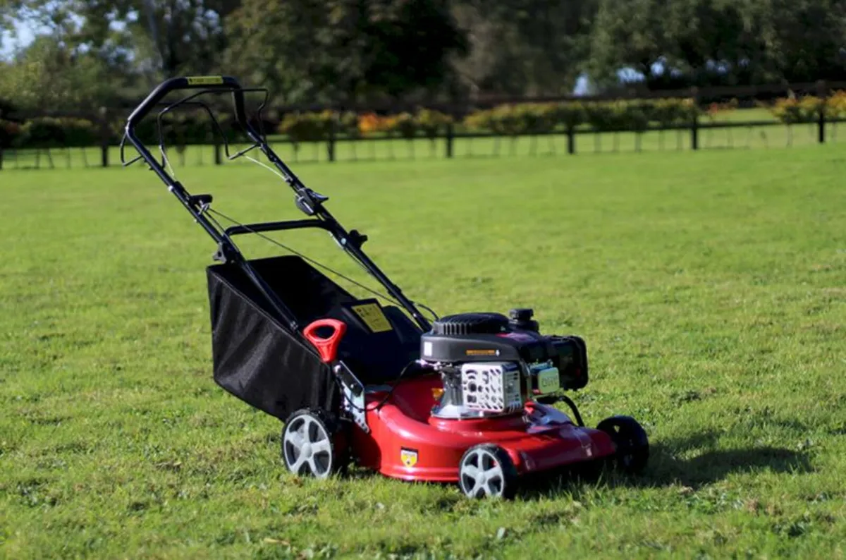 Piranha P18LS 18" Self Drive Mower (Loncin Engine) - Image 4