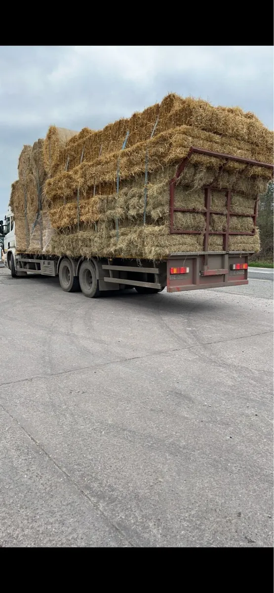 Straw and hay - Image 4