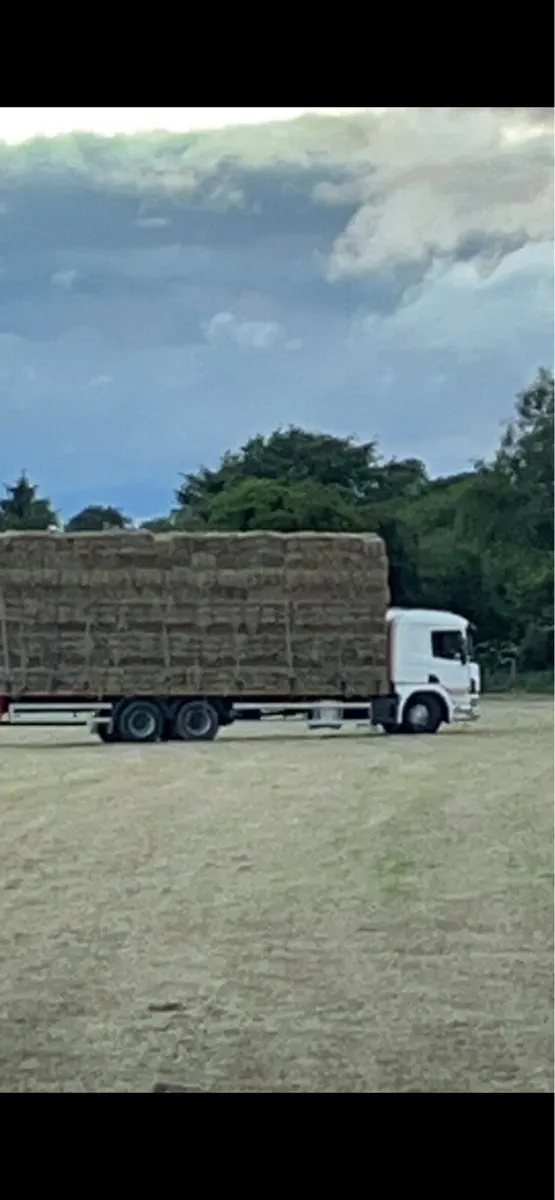 Straw and hay - Image 3