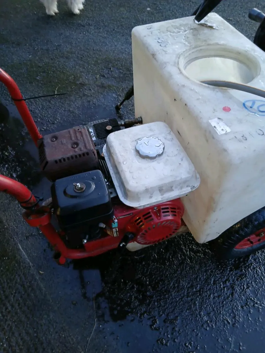 Demon bowser powerwasher - Image 1