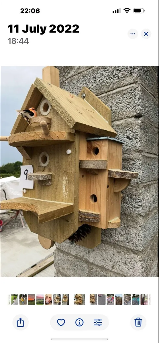 Bird boxes - Image 1