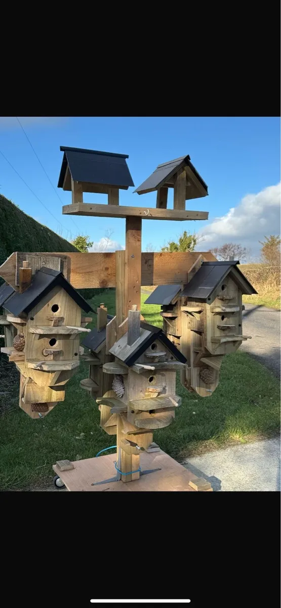 Bird boxes - Image 2