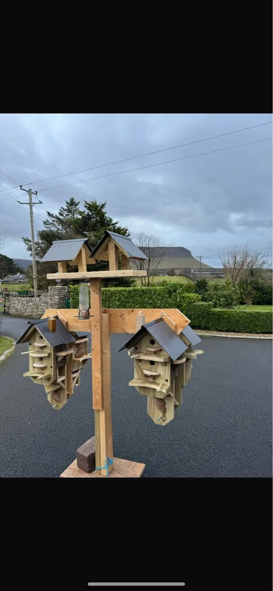 Bird boxes - Image 3