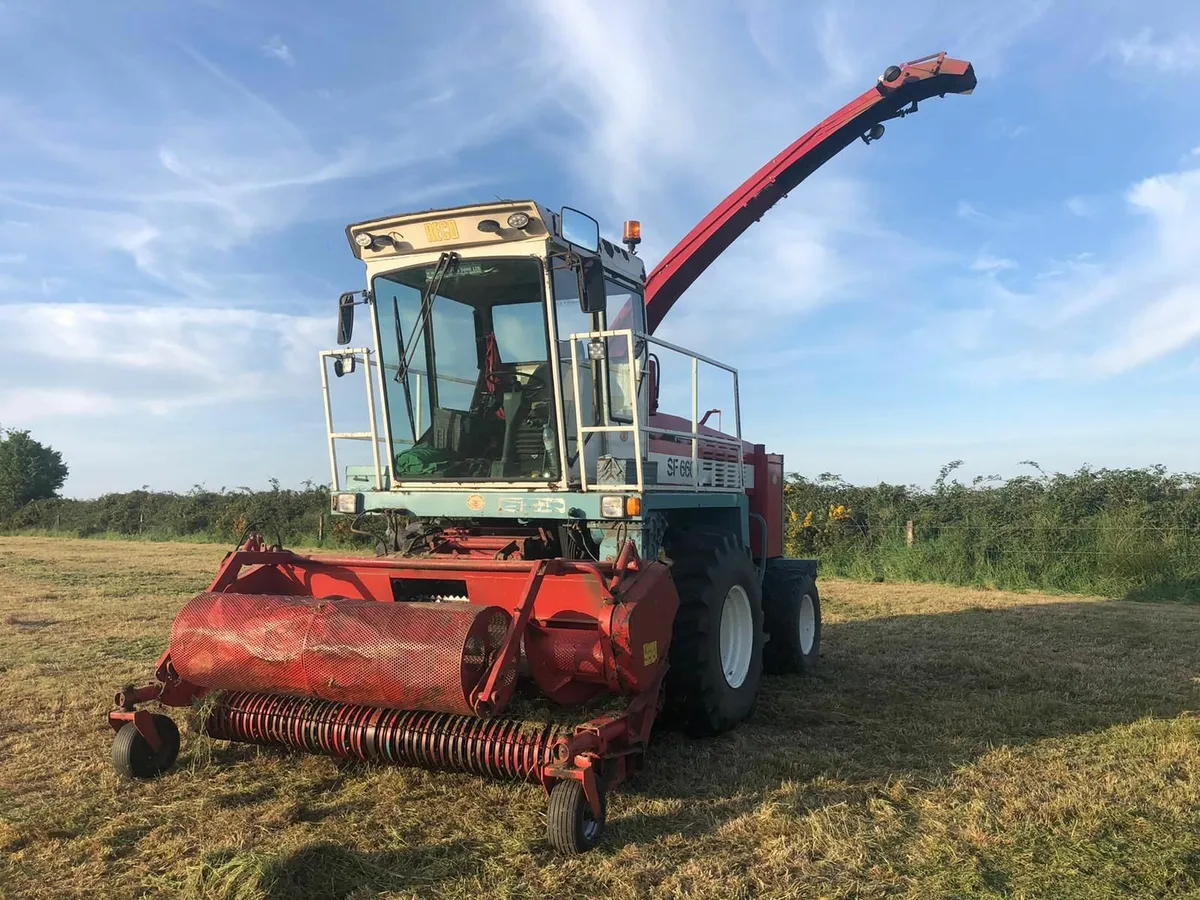 Mengele SF6600 self propelled silage harvester - Image 1