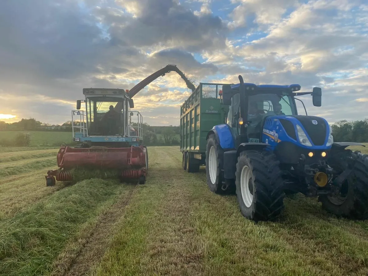 Mengele SF6600 self propelled silage harvester - Image 4