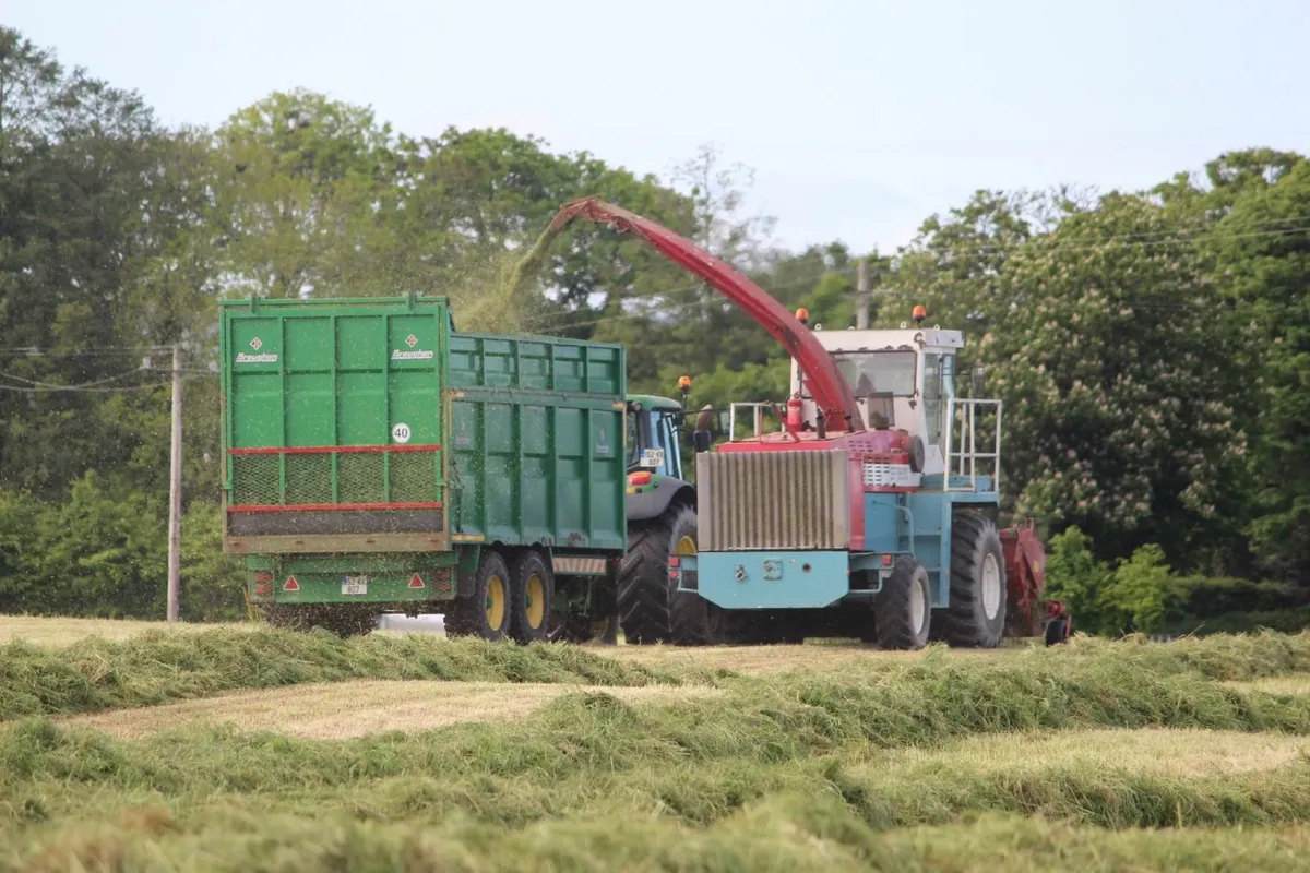 Mengele SF6600 self propelled silage harvester - Image 3