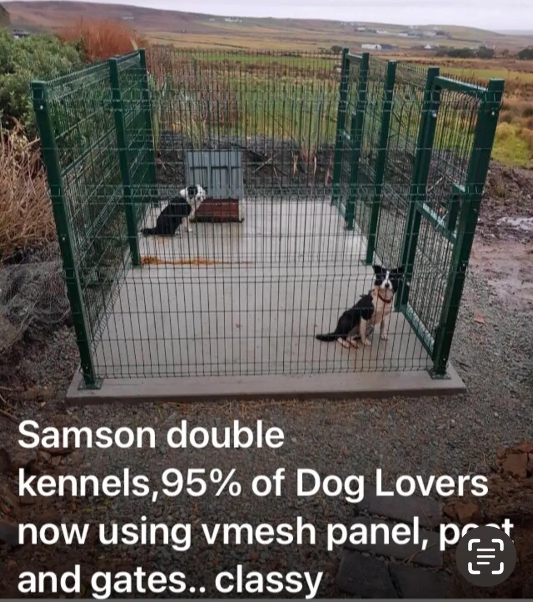 ‼️‼️BIG SALE NOW ON ‼️‼️..Dog runs/ kennels... - Image 1