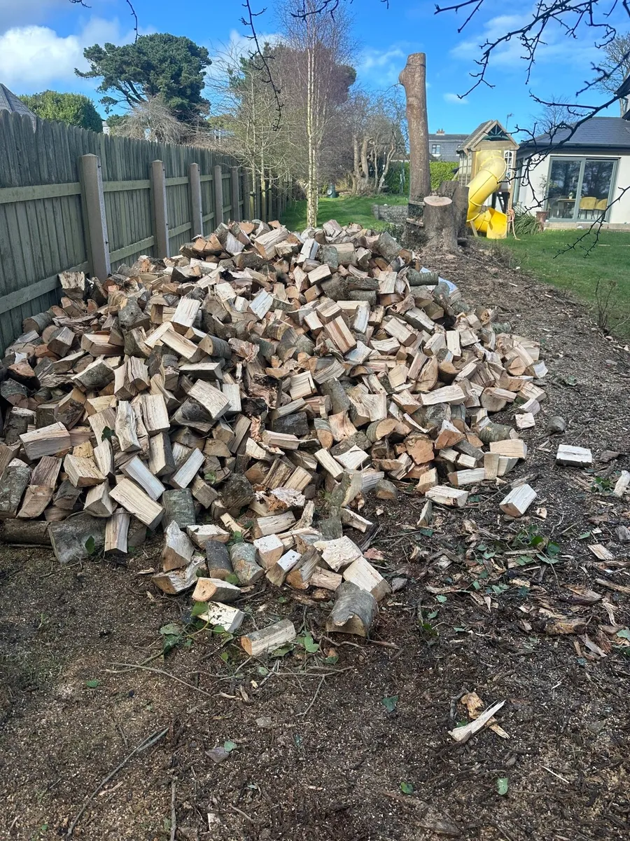 Log splitting - Image 1