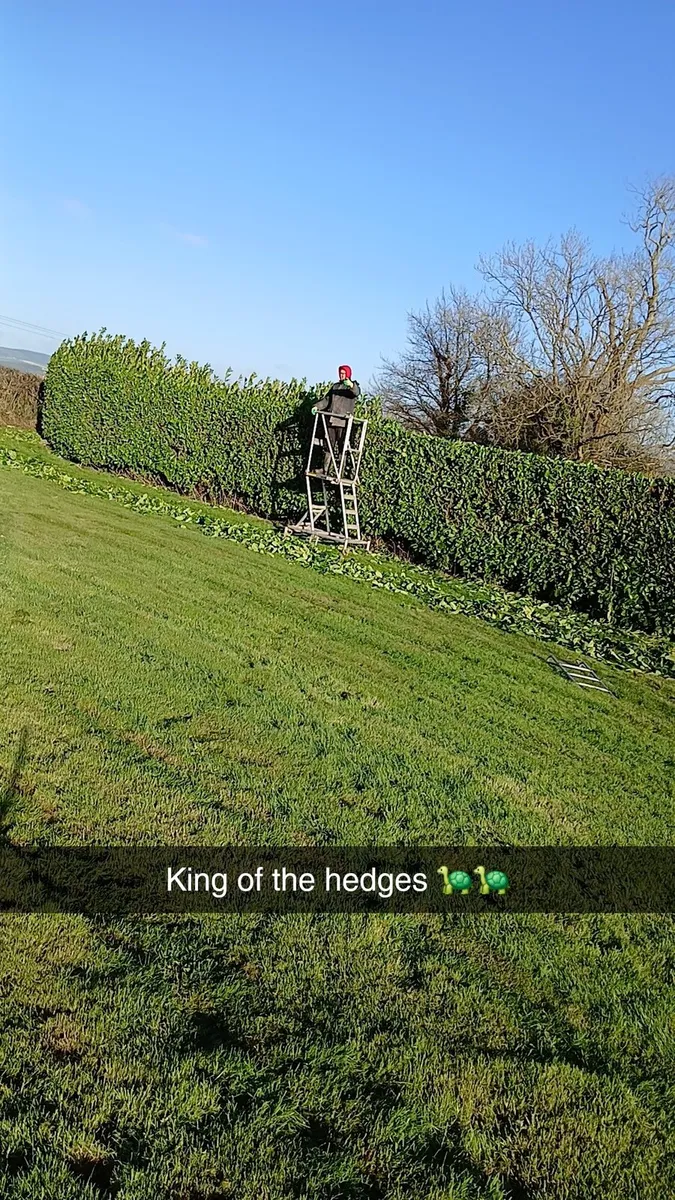 Garden maintenance - Image 2