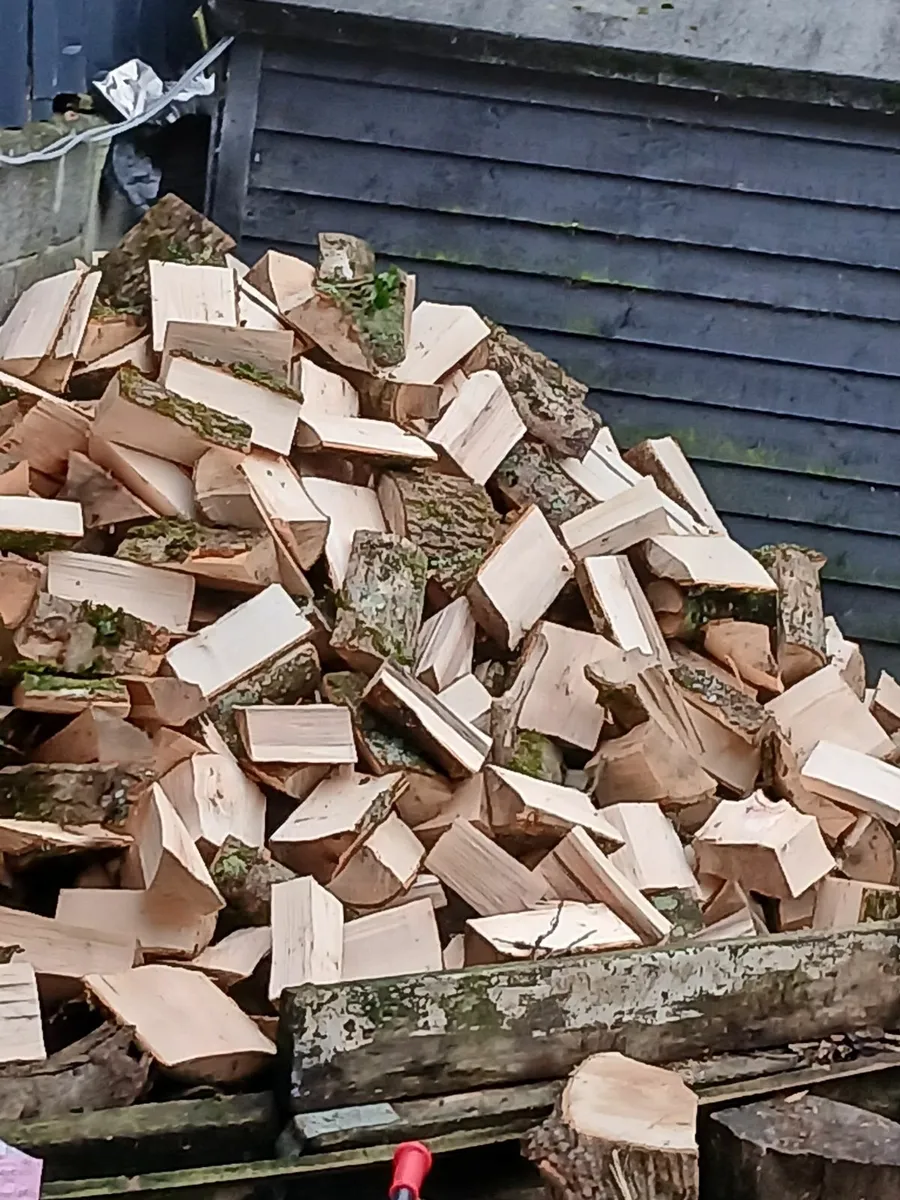 Ash and hardwood trailer or bags 5euro - Image 1