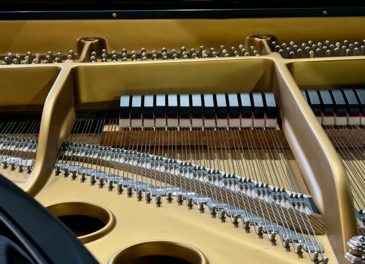 Steinway & Sons Model B Grand Piano - Image 2