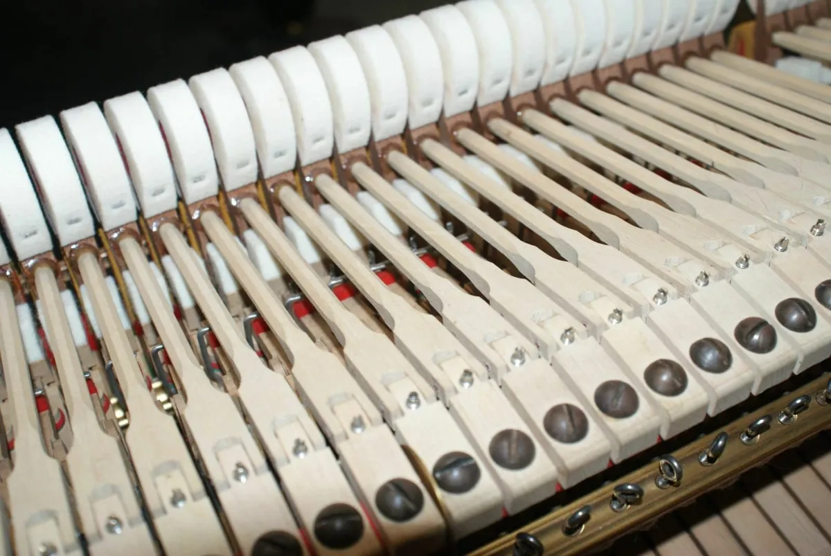 Steinway & Sons Model B Grand Piano - Image 3