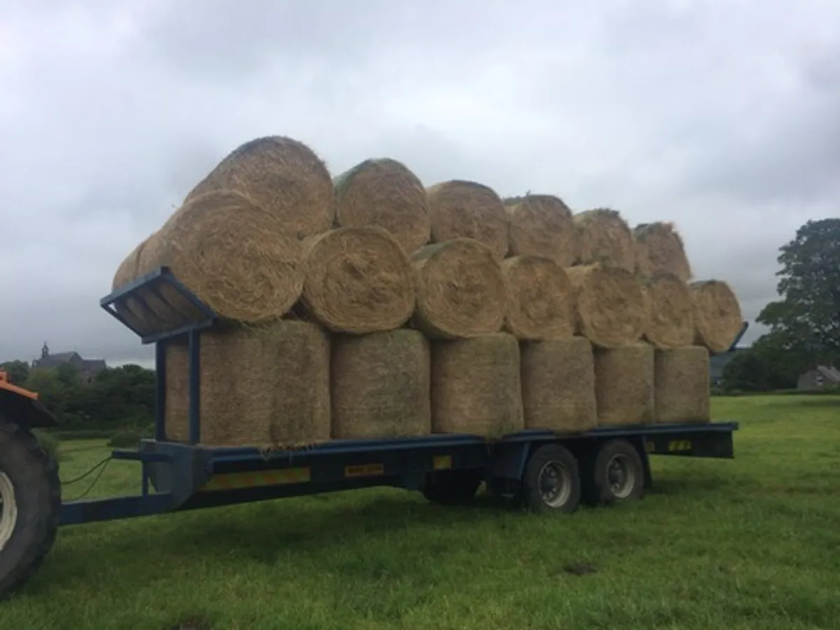 Hire a Log Splitter - Image 4