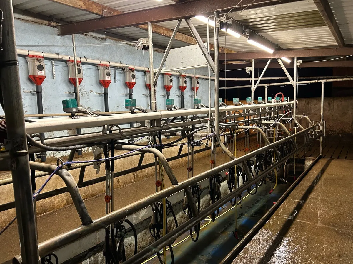 12 Unit Pearson milking parlour & 24 IDS feeders - Image 3