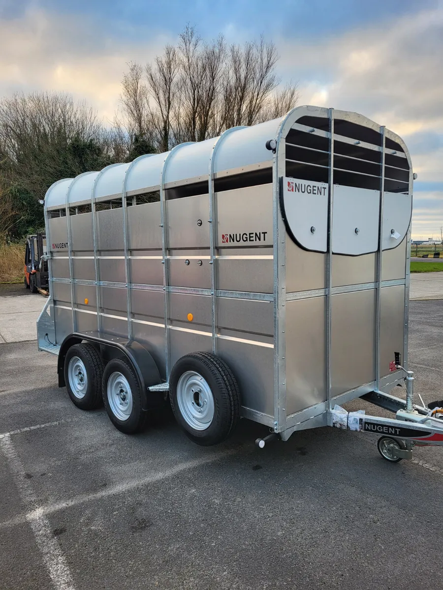 7ft High Livestock Trailer - Image 4