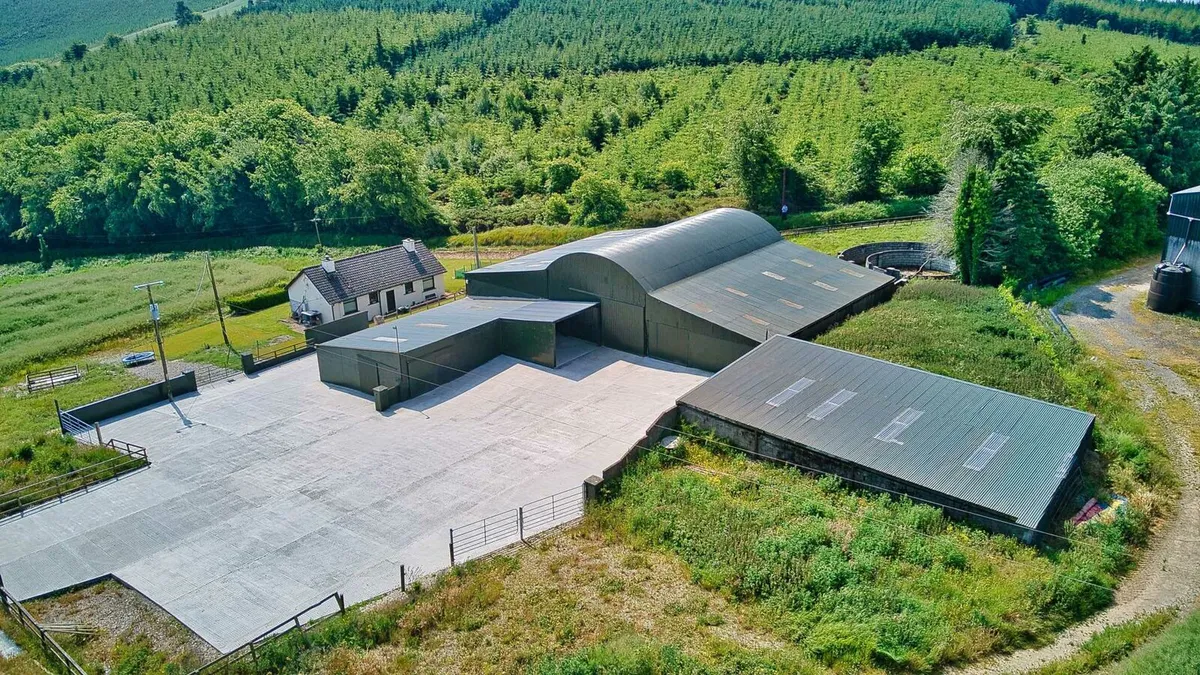 Livery Spaces Available - Image 3