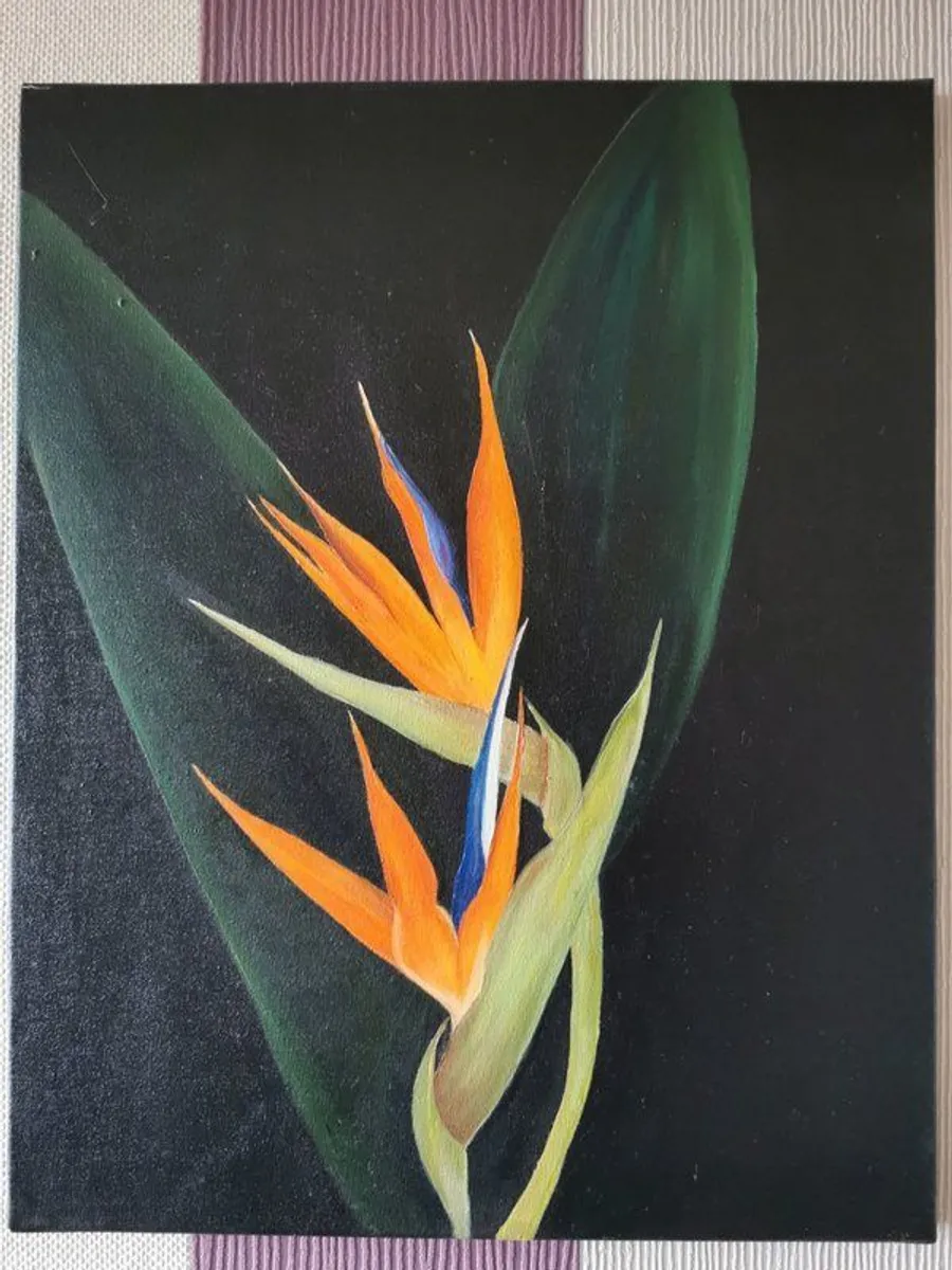 Original Oil Paintings. - Image 4