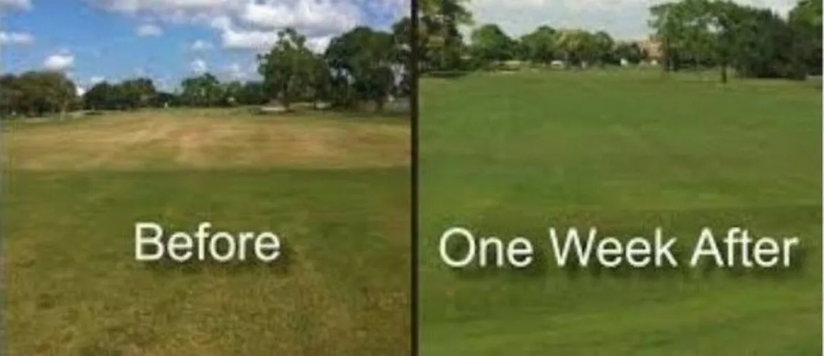 SHOCKWAVE your Sports Pitch to improve  AERATION - Image 2