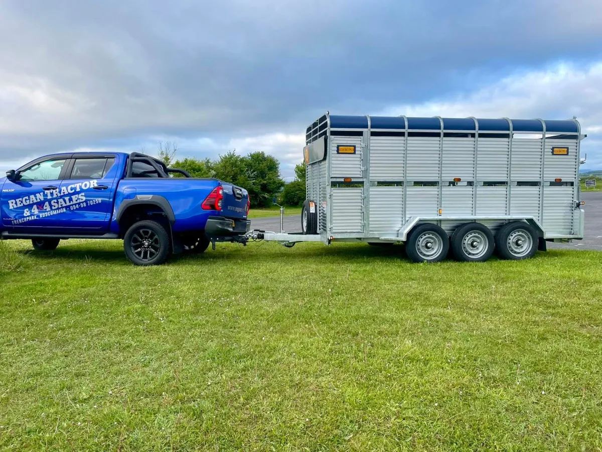New Porter Cattle Trailer - Finance Options - Image 4