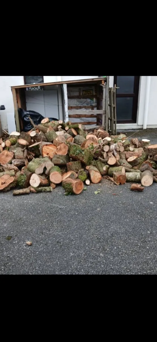 Firewood & trees - Image 1