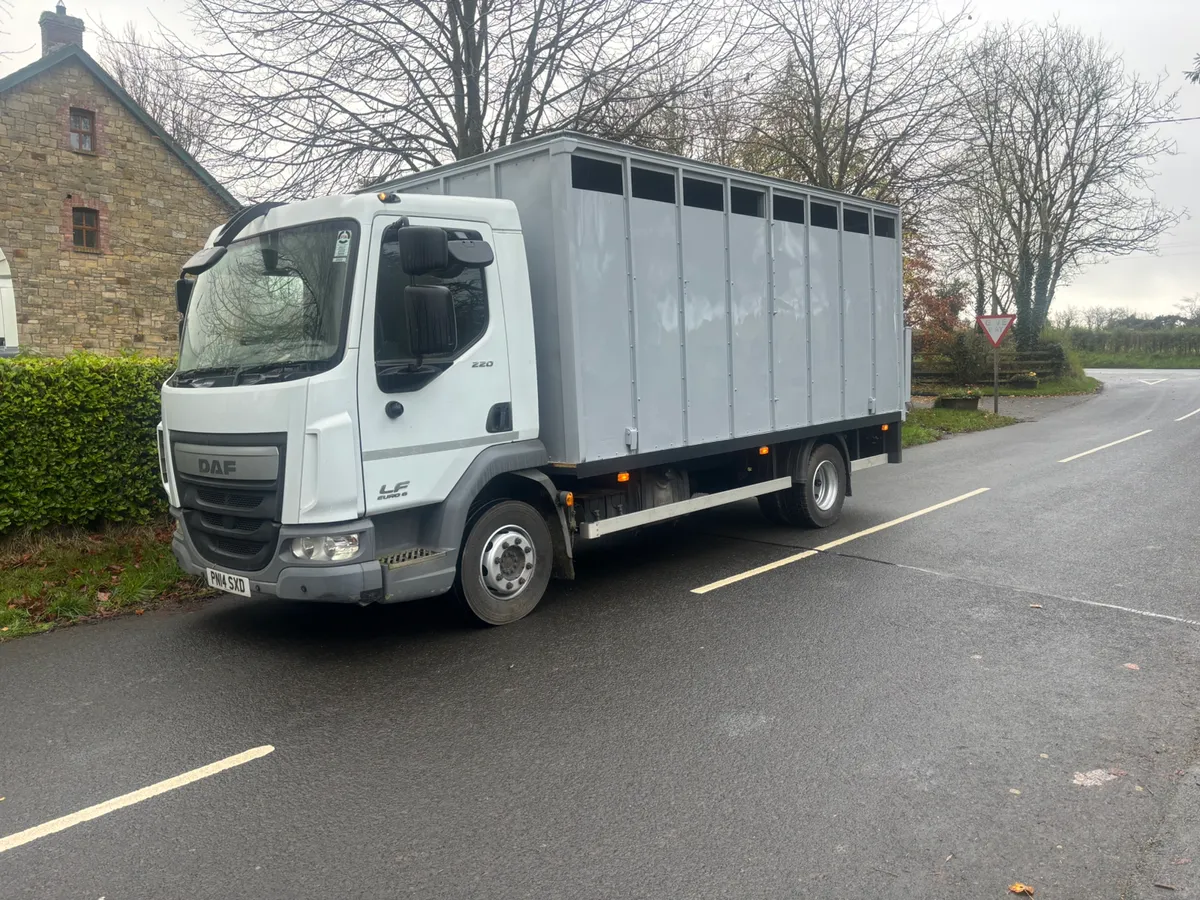 Daf lf 220/cattle lorry - Image 1