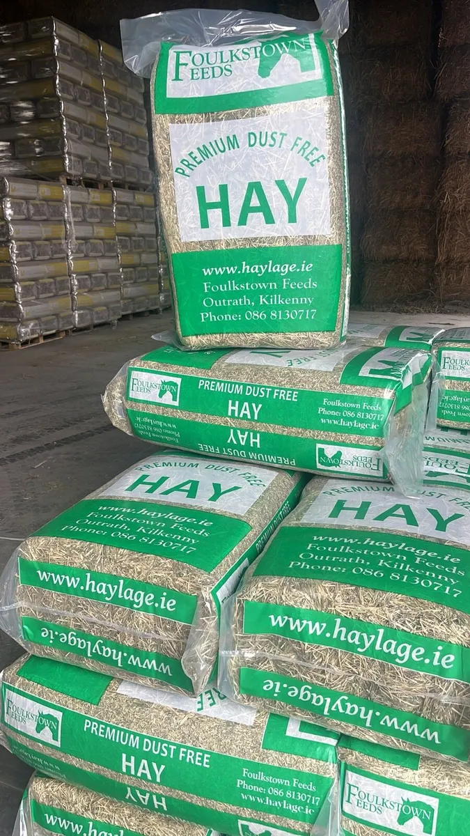 Premium dust free hay. - Image 1