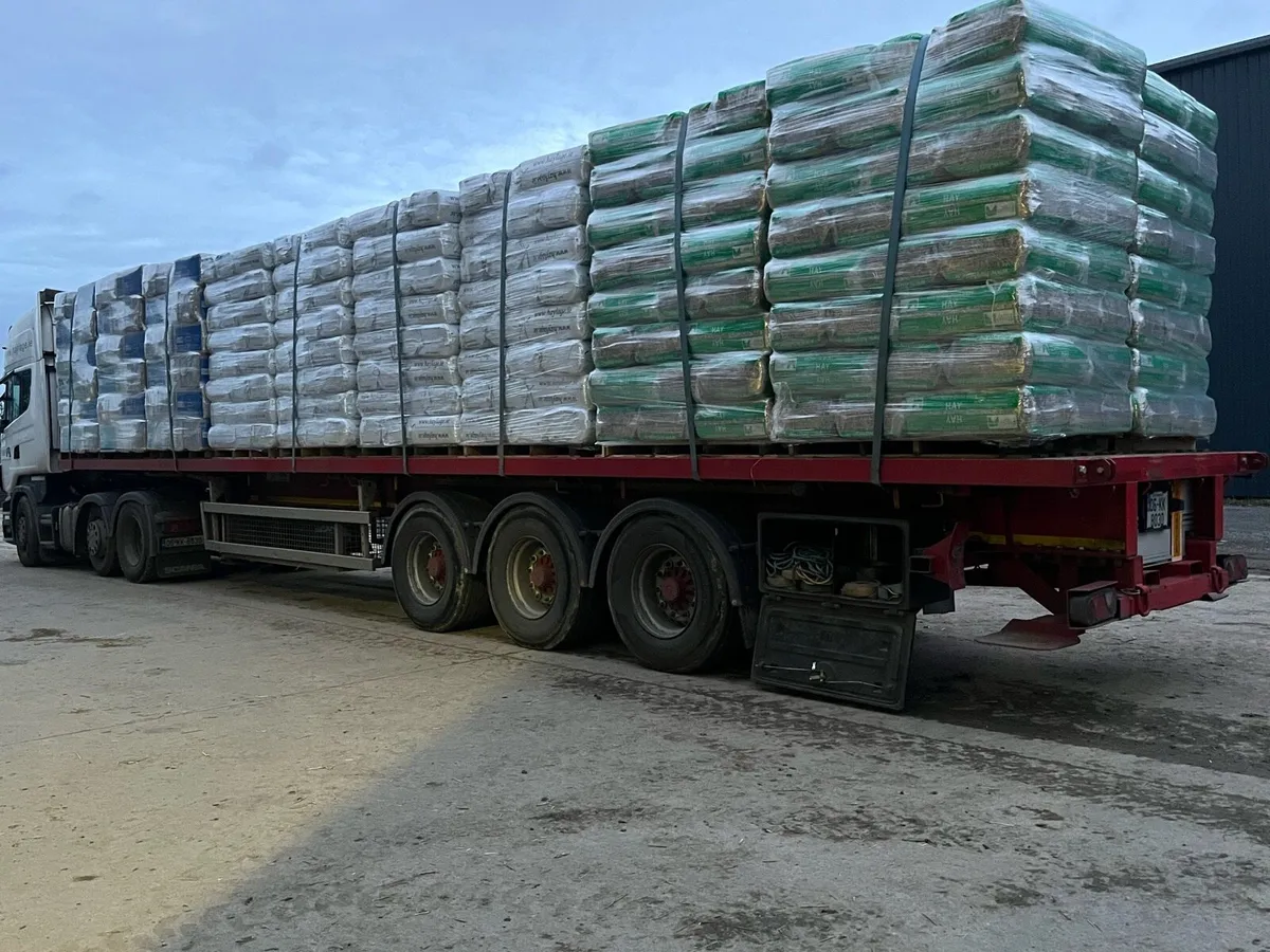 Premium dust free hay. - Image 3