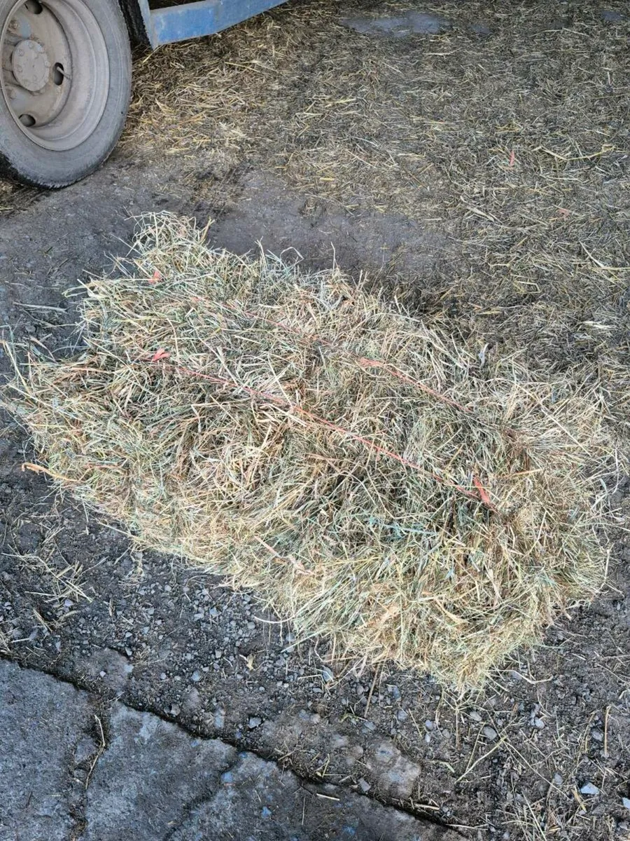 Small square bales of hay and straw - Image 3