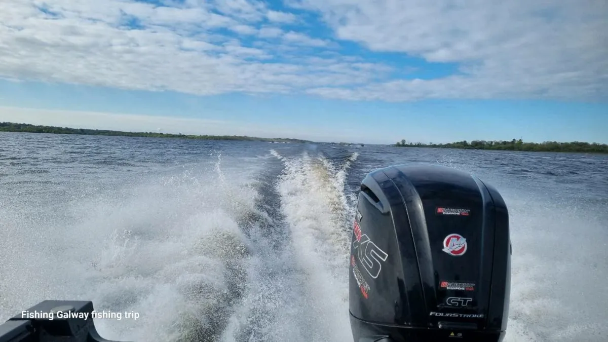 Mercury ProXs 115hp - Image 4