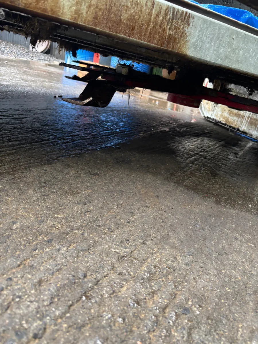 Wylie  Topper - Image 3