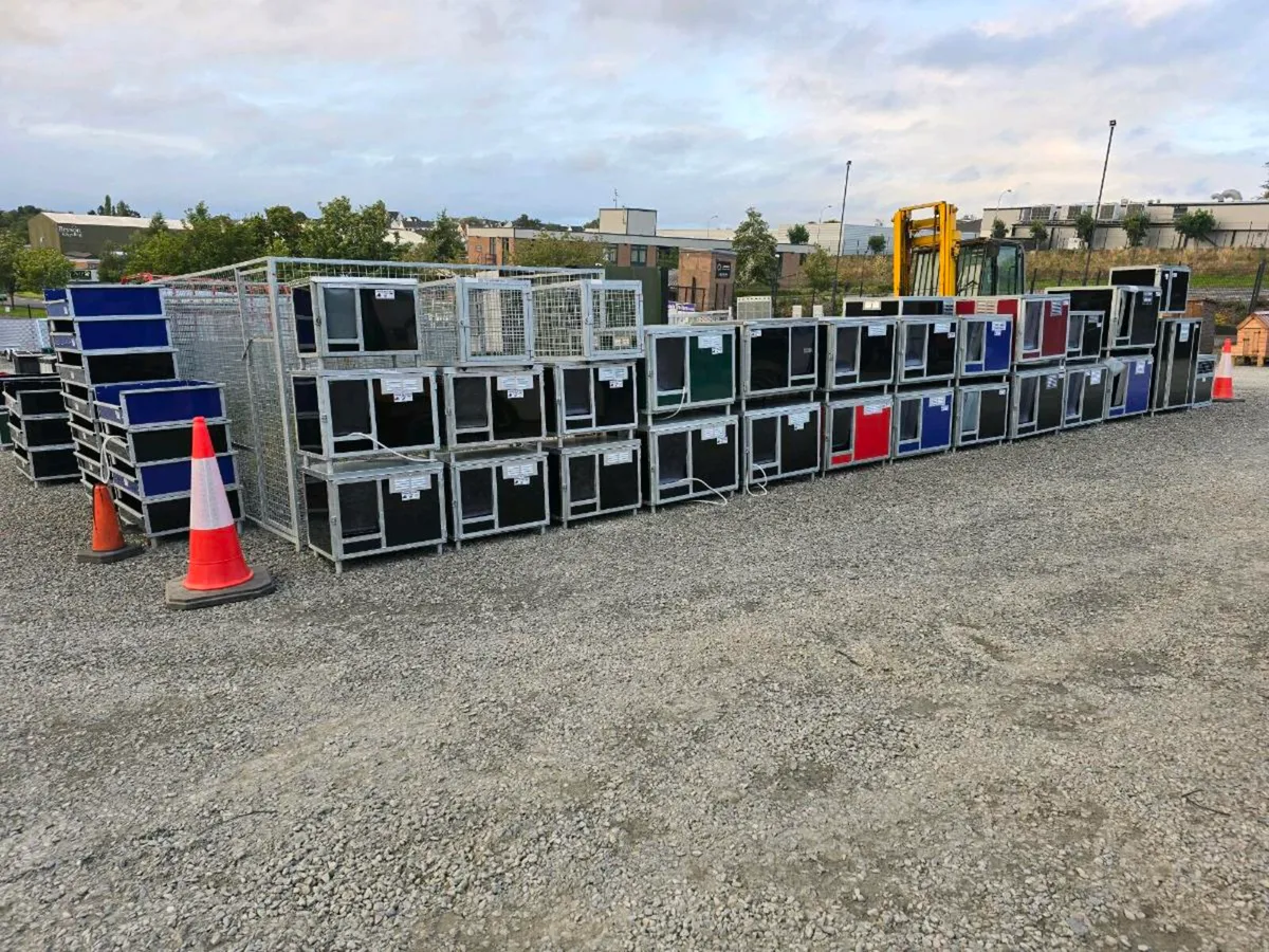Steel dog kennels and galvanized pens - Image 3