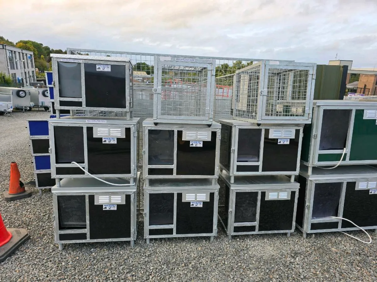 Steel dog kennels and galvanized pens - Image 2