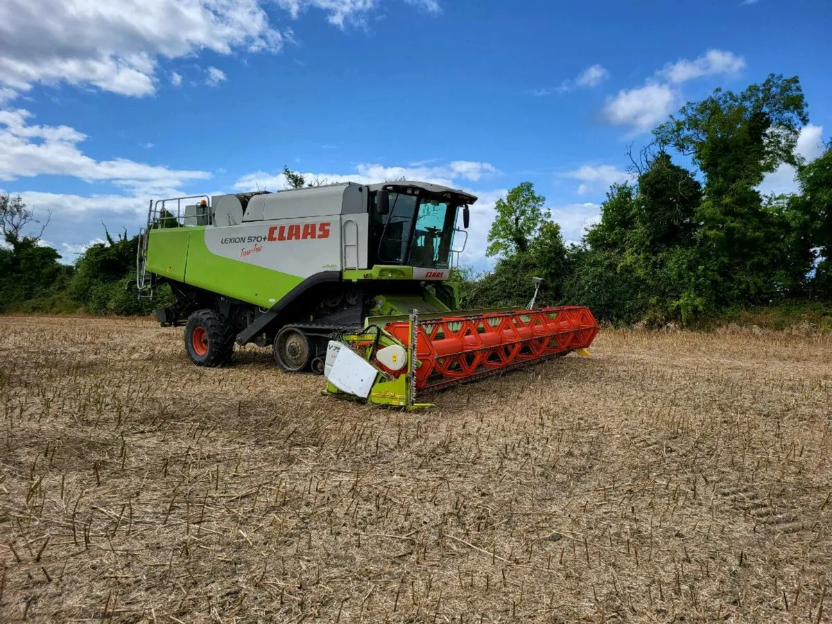 Claas Lexion 570+ TT - Image 4