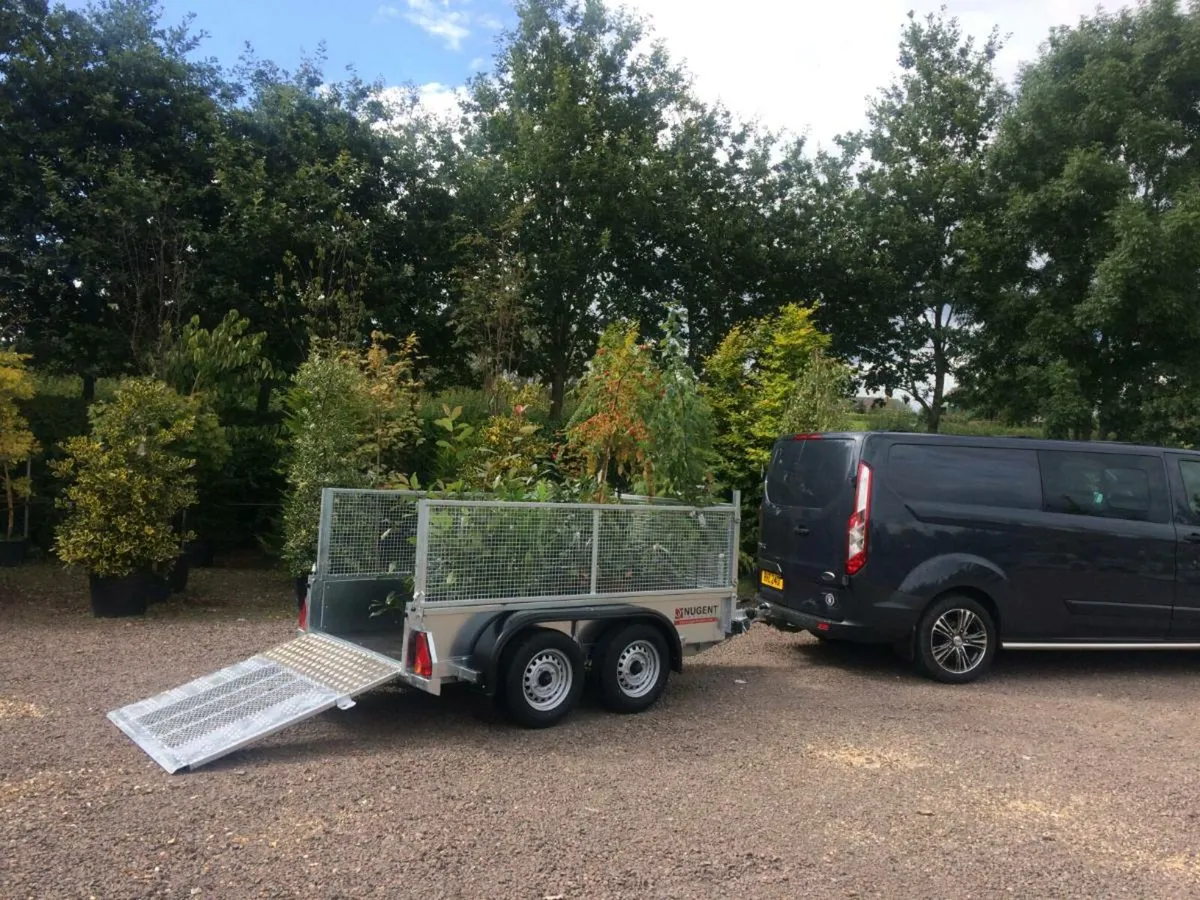 New nugent 8x4ft twin axle general purpose trailer - Image 4