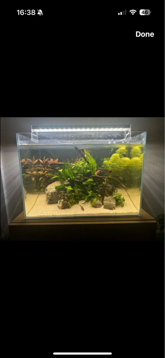 Superfish Scaper 45 - Image 1