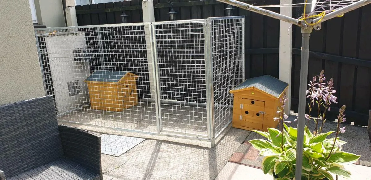 New galvanised puppy pens cages and kennels - Image 4