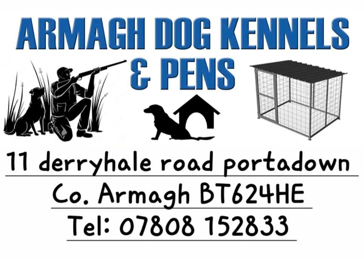 Timber dog kennels tin roofs. Garden Furniture - Image 2