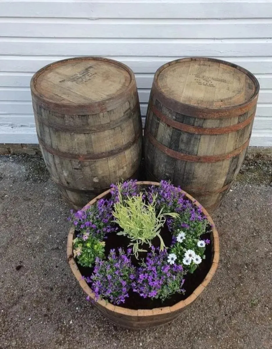 Old vintage oak barrel suit man cave pub gamesroom - Image 2