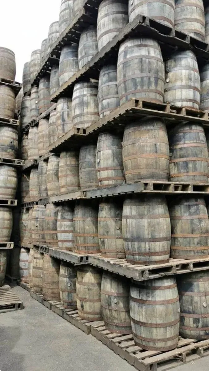 Old vintage oak barrel suit man cave pub gamesroom - Image 3