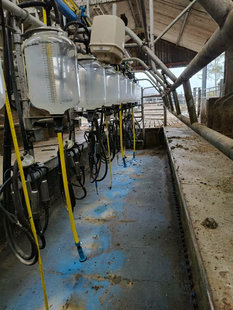 11 unit de leval milking machine - Image 1