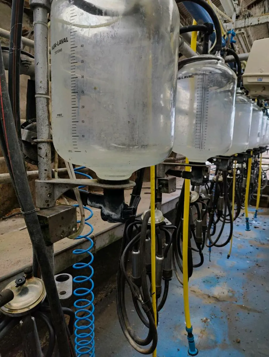 11 unit de leval milking machine - Image 2