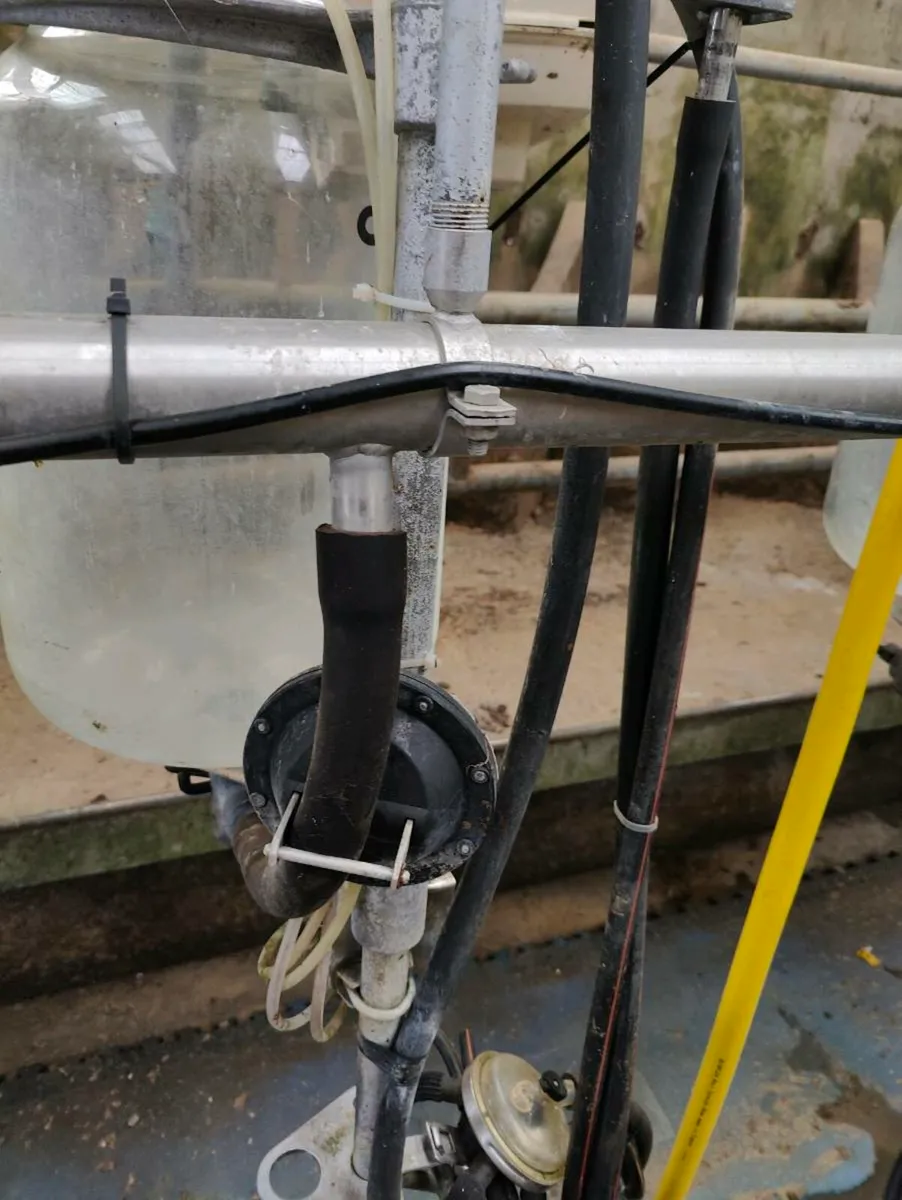 11 unit de leval milking machine - Image 3