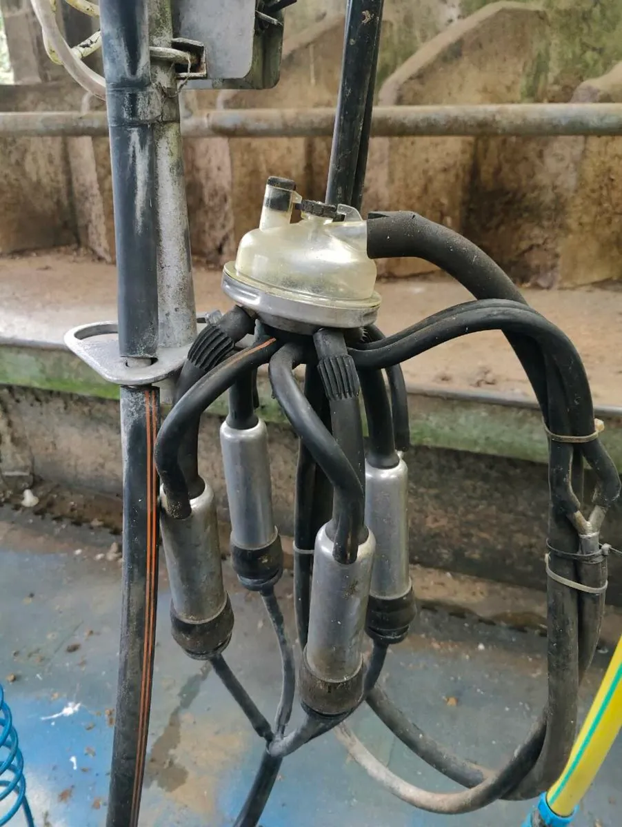 11 unit de leval milking machine - Image 4