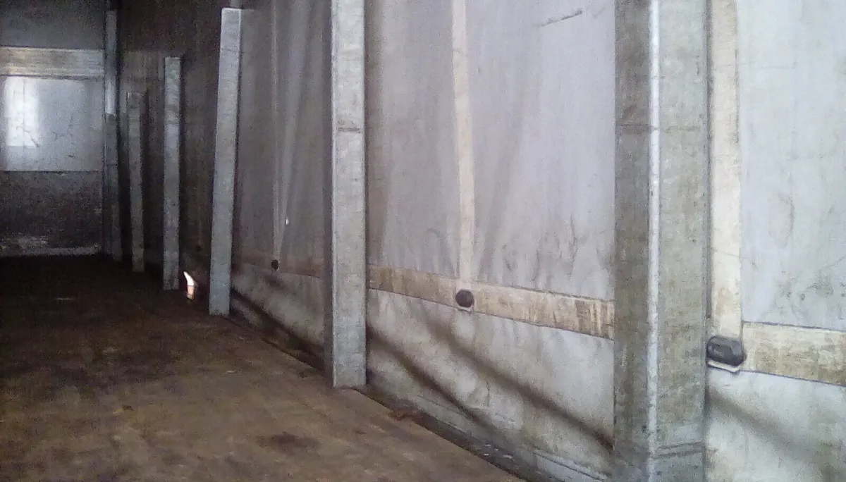 DAF LF 55  250   COURTAINSIDE LOW INPORT  DUTY - Image 2