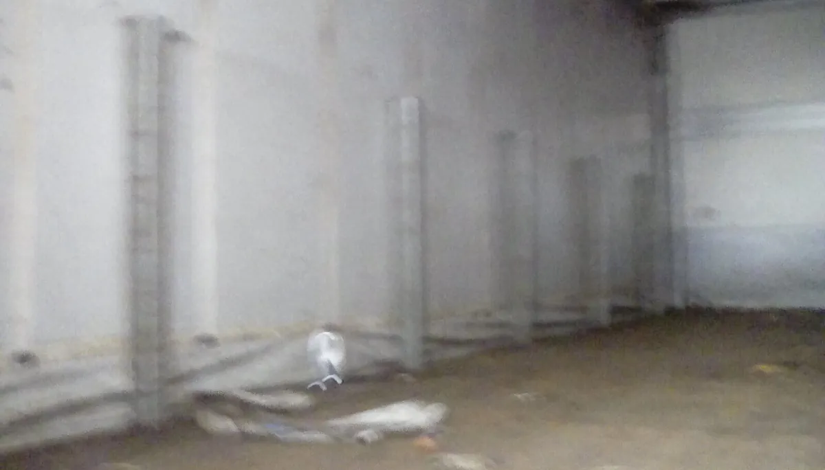 DAF LF 55  250   COURTAINSIDE LOW INPORT  DUTY - Image 3