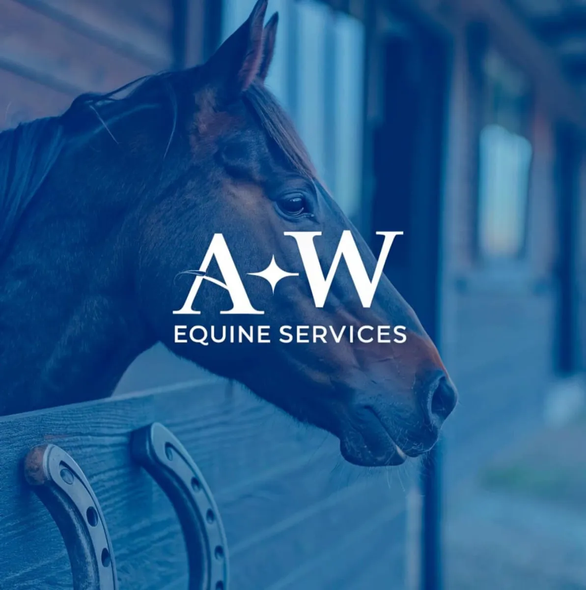 AW Equine Services - Image 1