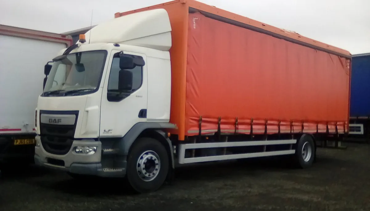 DAF LF 55 220 GLASS CARRINGBODY CURTAINSIDE ON AIR - Image 1