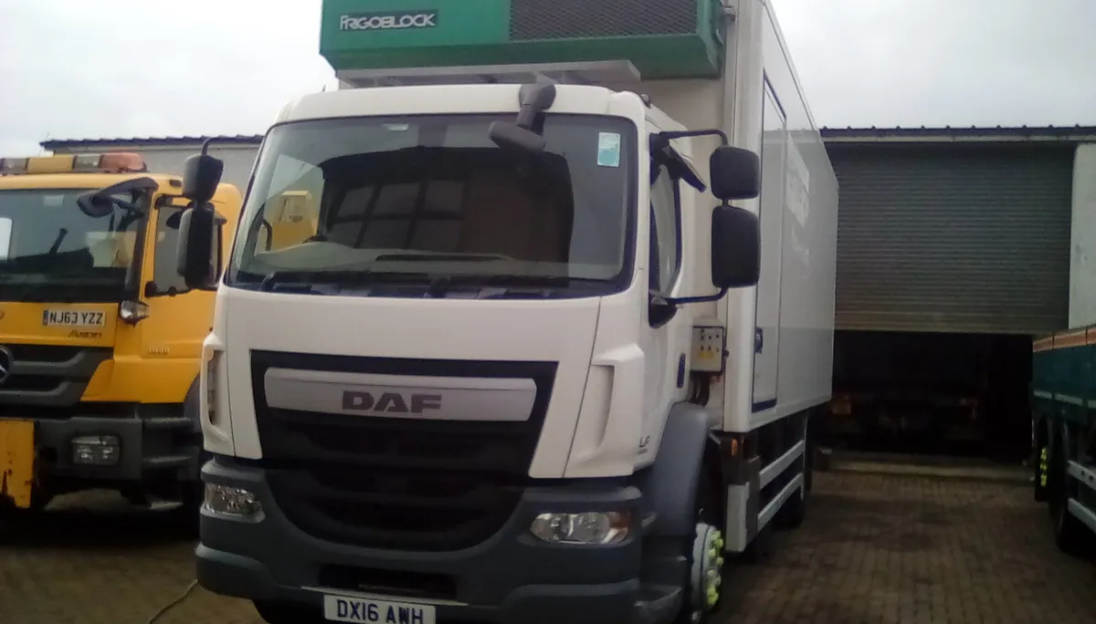 DAF LF 55 REFRIGERATED ON AIR TAIL LIFT SIDE DOOR - Image 1